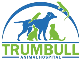 Trumbull Animal Hospital